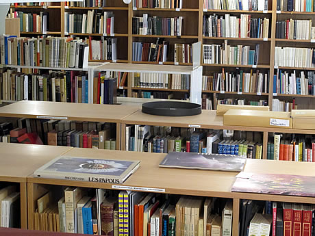 The Carina Ari Library's book shelves